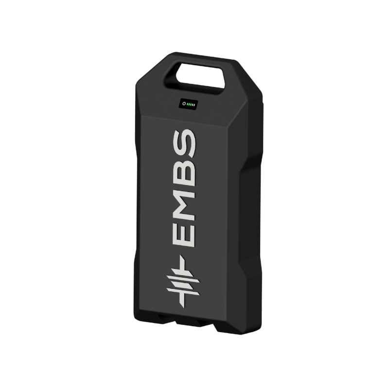 cargo e-bike battery system