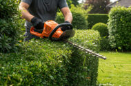 Are petrol or battery line trimmers better