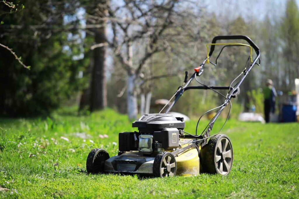 Why Are Battery-Powered Garden Tools Becoming More Popular?